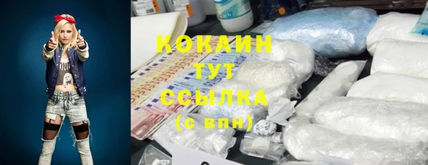 гидра Армянск